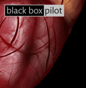 Black Box Pilot profile picture