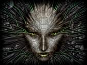 SHODAN profile picture