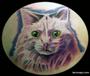 CAT TATTOO profile picture