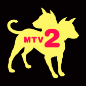 MTV profile picture