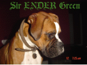 Sir ENDER Green profile picture