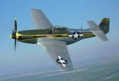 P-51 Mustang profile picture