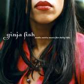 Ginja Fish profile picture