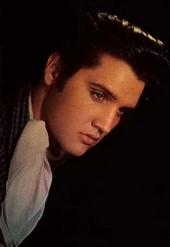 Elvis In Concert profile picture