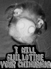 I Will Guillotine Your Chihuahua profile picture