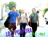 Loz purpura. NUEVAS CANCIONES profile picture