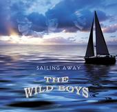 thewildboysfanpage