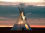 TIPI profile picture