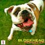 Blockhead profile picture