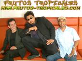 FRUTOS TROPICALES profile picture