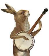 Banjo Bunny E-Cards profile picture