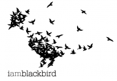 i am blackbird profile picture