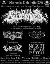 Underground Metal Insidious Decrepancy Tour Mexico profile picture