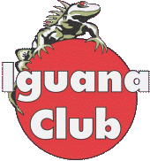 Iguana Club profile picture