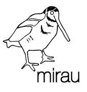 mirau profile picture