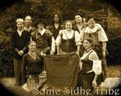 Sonic Sidhe Tribe profile picture