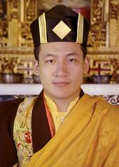 H.H. 17th Karmapa Trinlay Thaye Dorje profile picture