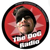 THe Dog Radio 66.9 profile picture