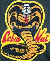 Cobra Kai profile picture