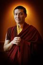 H.H. 17th Karmapa Trinlay Thaye Dorje profile picture