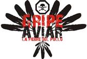 Gripe Aviar profile picture