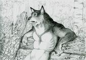 White Wolf profile picture