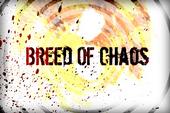 Breed Of Chaos profile picture