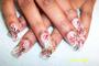 Hottt Nailz by Dee Dee profile picture