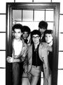 Donnie Iris and the Cruisers profile picture