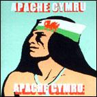 Apache Cymru profile picture