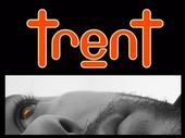 TrenT profile picture