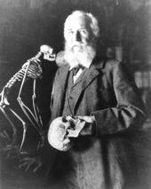 Ernst Haeckel profile picture