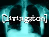 LIVINGSTON - 2 BRAND NEW TRACKS UP! profile picture