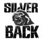 SILVERBACK MUSIC profile picture