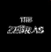 ThE ZebraS profile picture