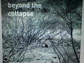 Beyond the Collapse profile picture