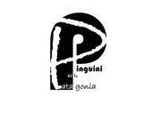 i pinguini della patagonia profile picture