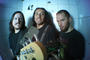 LOS MOX! profile picture