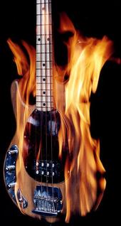 Bass Players profile picture