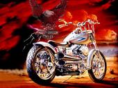 ♠WiLd BiKeR♠ profile picture