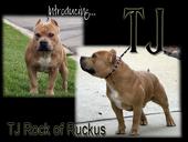 TJ ROCK OF RUCKUS profile picture