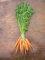 Carrots profile picture