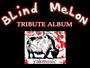 BLIND MELON TRIBUTE: OUT NOW!! profile picture