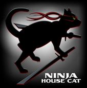 Ninja House Cat Studios profile picture