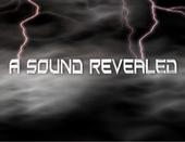 A Sound Revealed profile picture