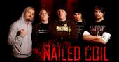 NAILED COIL (NEW VIDEO OUT!!!) profile picture