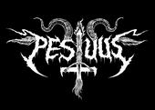 Pestuus profile picture