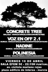 Concrete Tree Street Team profile picture