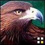 Freeagle profile picture