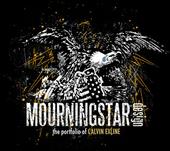 www.mourningstardesign.com profile picture